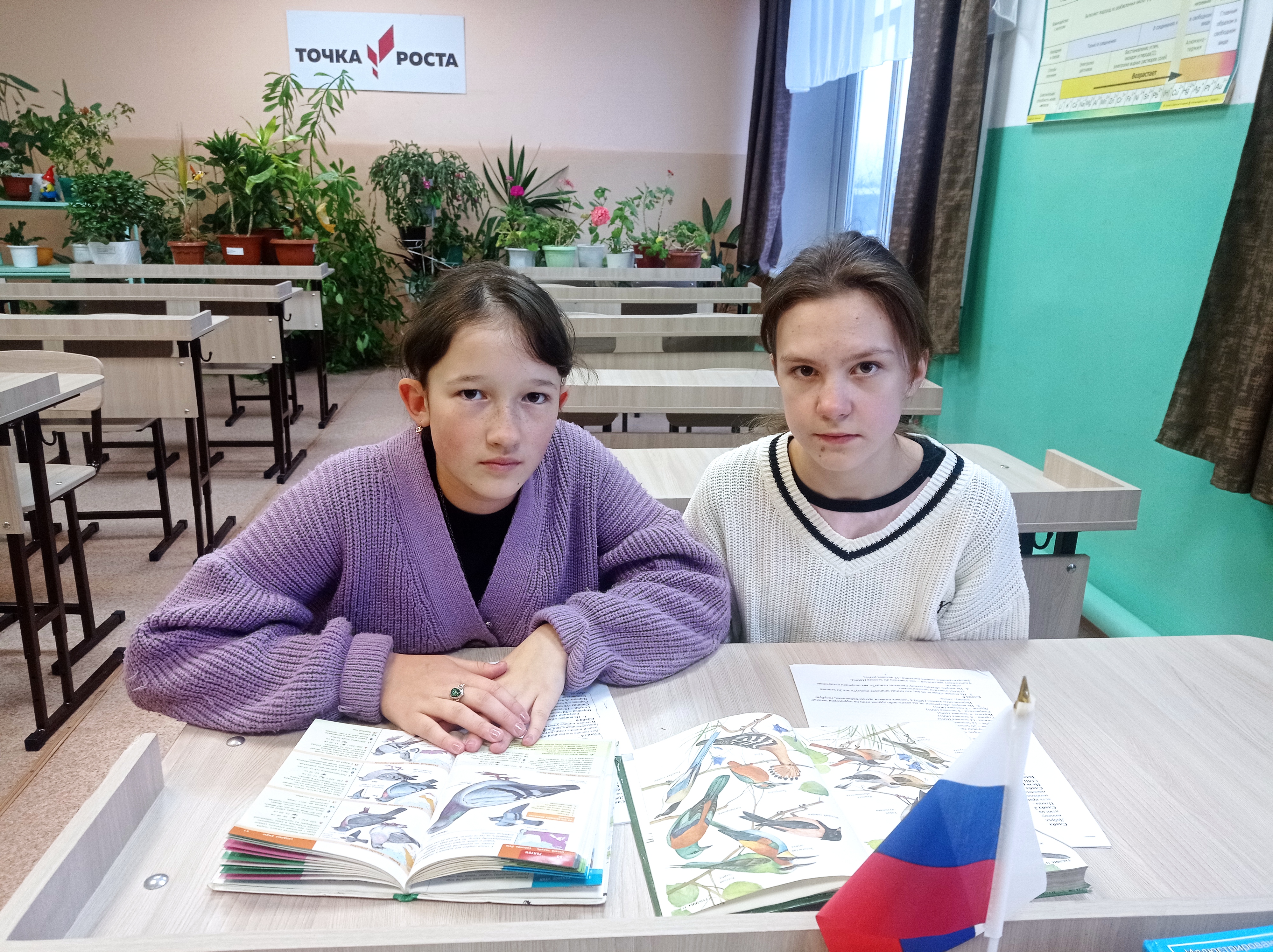 Зимующие птицы пришкольной территории.
