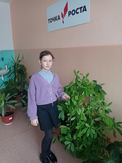 Тема: Ткани растений.