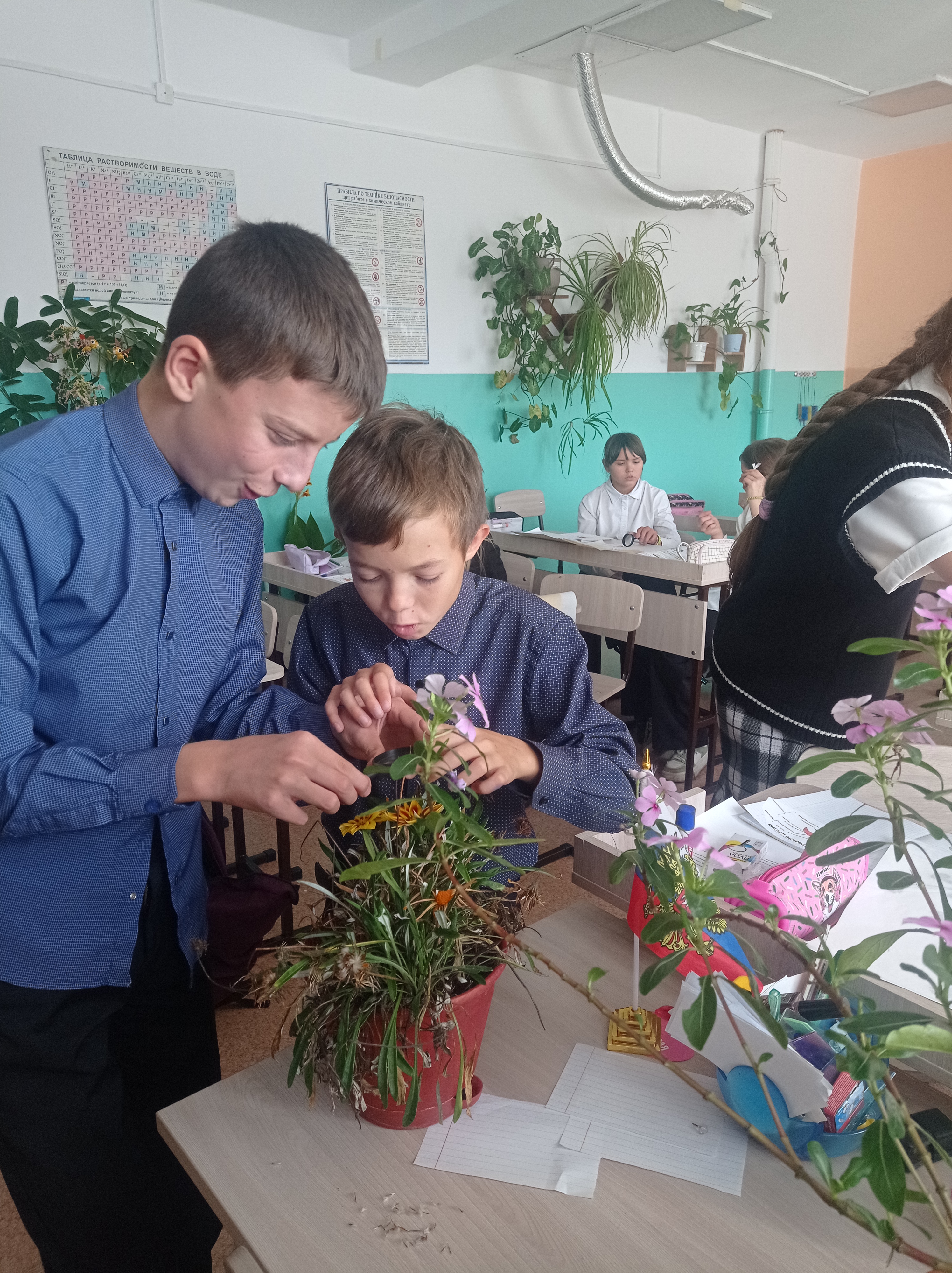 Изучаем строение цветка.