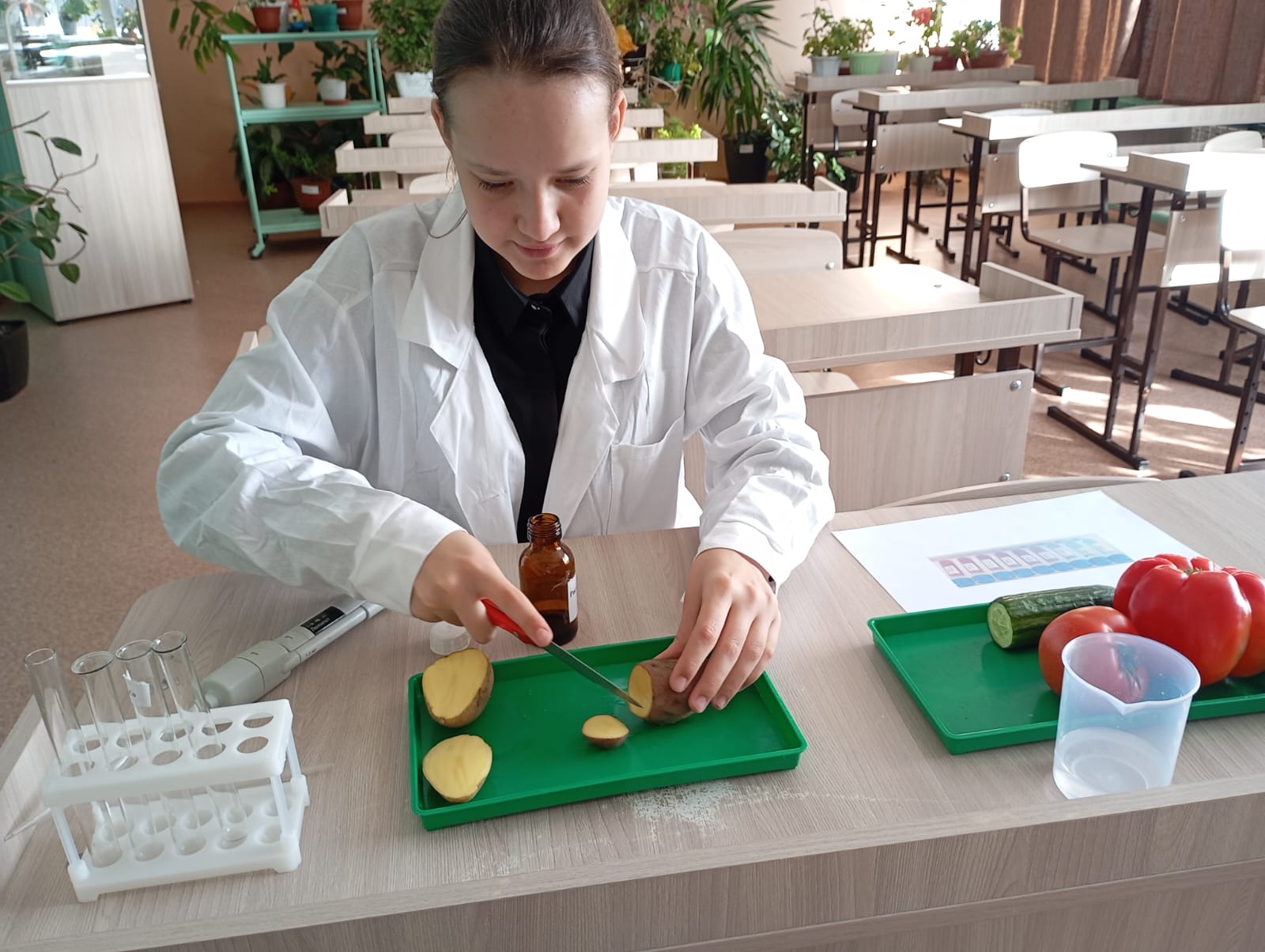 Школьная НПК.